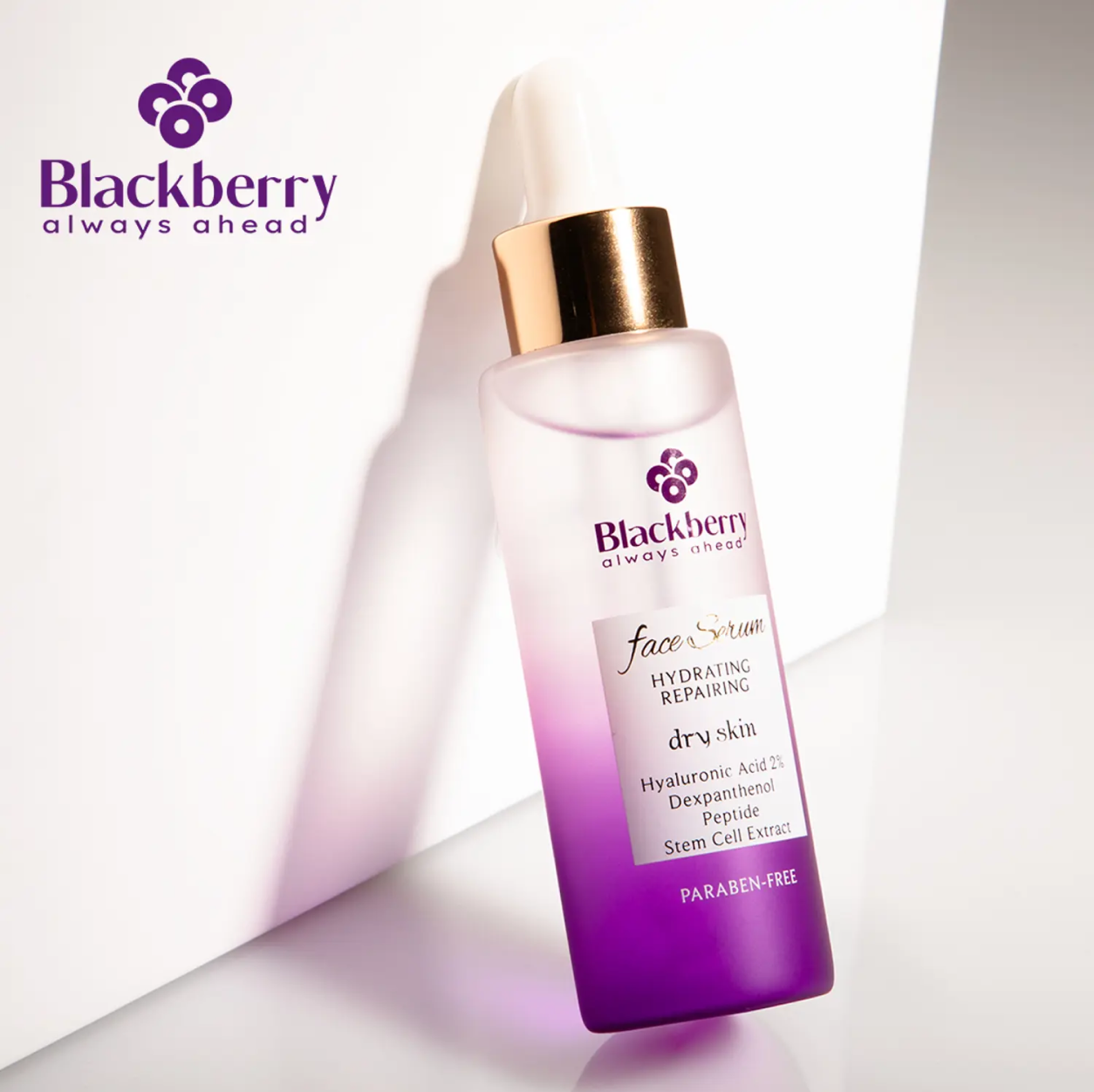 /nafis-factory/brand-banner/blackberry-2.png